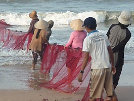 釣魚(yú),越南,漁