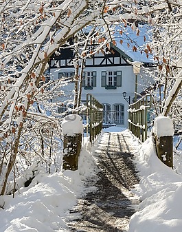 冬天,雪,離