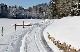 冬天,雪,離