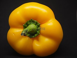 辣椒粉,黃色,蔬菜