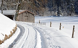 冬天,雪,離
