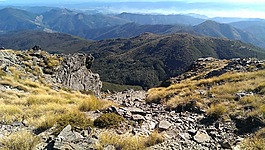 高山,山頂?shù)牟輩?山