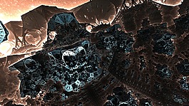 分形,曼德?tīng)柷?d,行動(dòng)