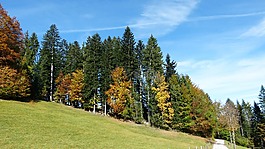 遠足,山,景觀