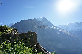 瑞士,山,旅行