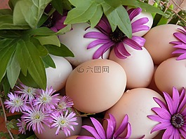 復(fù)活節(jié)彩蛋,雞蛋,復(fù)活節(jié)