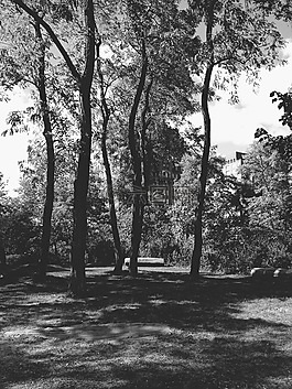 公園,黑色和白色,單色