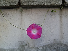 牽?；?城市,圍欄