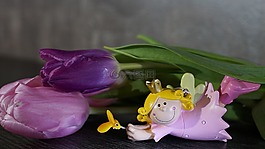 花,性質(zhì),廠