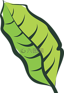 葉,蔬菜,人工林