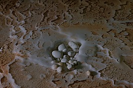 宏觀的照片,珠,pisolites