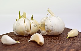 大蒜,成分,食品