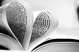 書,書的心,閱讀