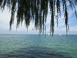 水,湖,romanshorn