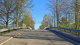 道路,希爾,樹木