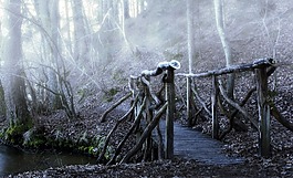 橋,顏色,霧