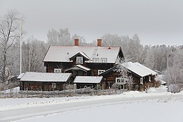 全白,封面,雪