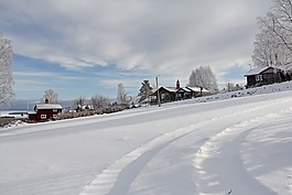 全白,封面,雪