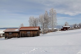 全白,封面,雪