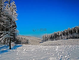 冬天,全景,雪