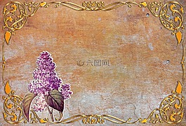 紋理,背景,紙