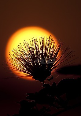 太陽(yáng),日落,天空