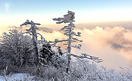 雪,冬季,大自然