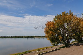 河,天空,樹