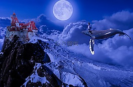 雪,冬天,天空