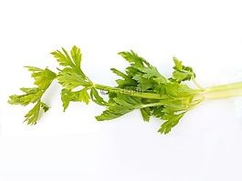 蔬菜,材料,綠色