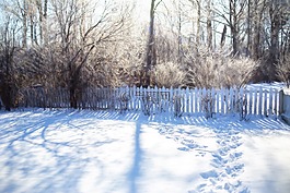 冬天,冷,雪