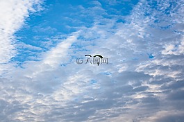 跳傘,天空,云