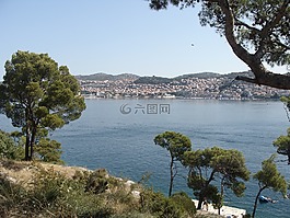 海,夏天,樹