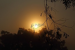 日出,側(cè)影,天空