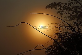 日出,側(cè)影,天空