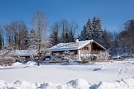 首頁,冬天,雪