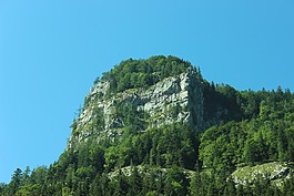巖,森林,山