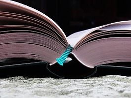 本書,讀取,文學(xué)