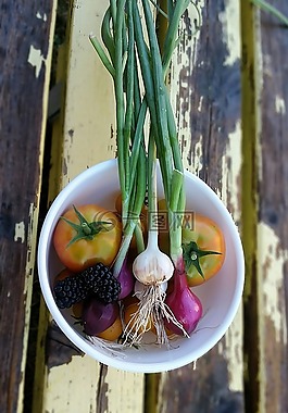 收獲,蔬菜,花園