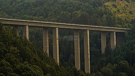 橋,森林,景區(qū)
