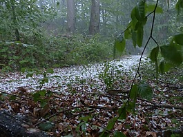 冰雹,風(fēng)暴,雷暴