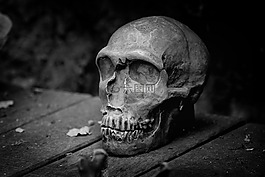 頭骨,死亡,黑白色