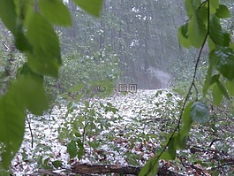 冰雹,風(fēng)暴,雷暴