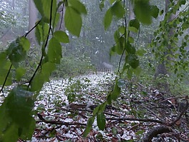冰雹,風(fēng)暴,雷暴