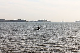 海洋,海,水