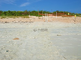 沙丘,沙,海灘