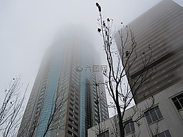 西雅圖,市中心,城市