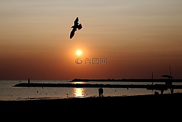 日出,伟大,水