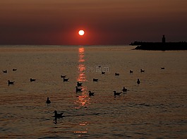 日出,偉大,水