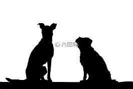 狗,動(dòng)物,小狗